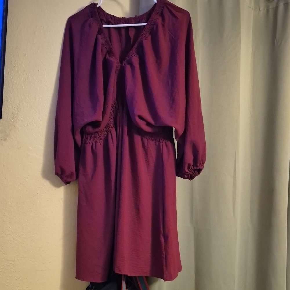 Elegant Burgundy Dress